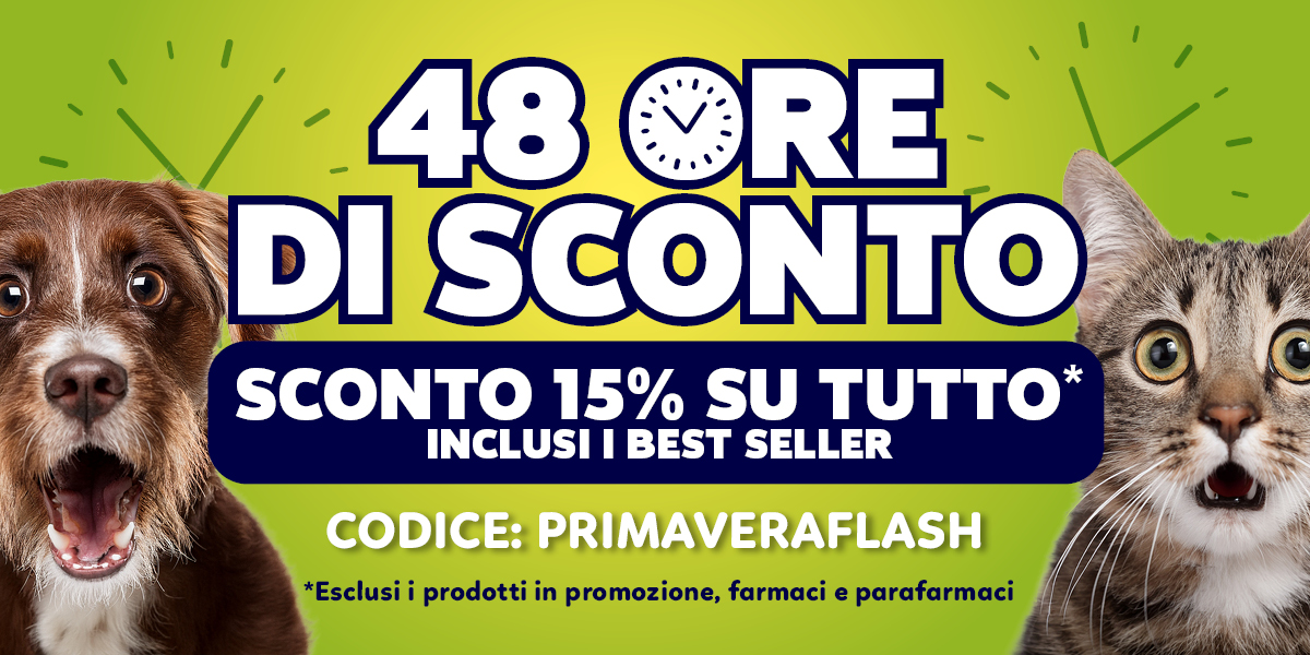Offerta
