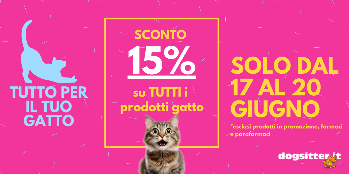 Saldi