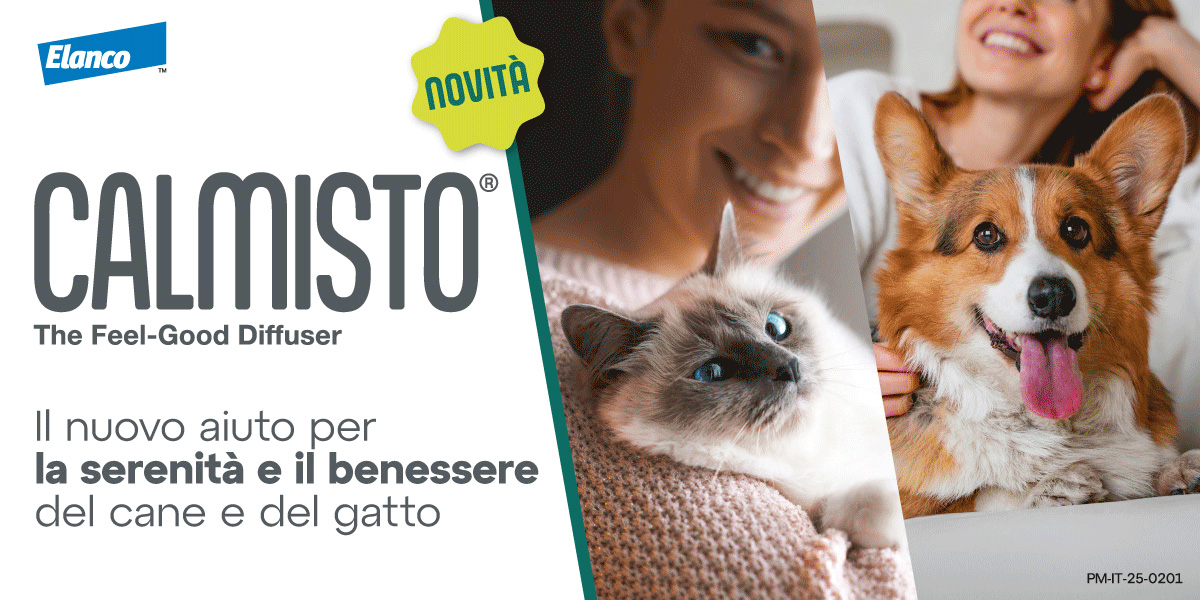 Saldi
