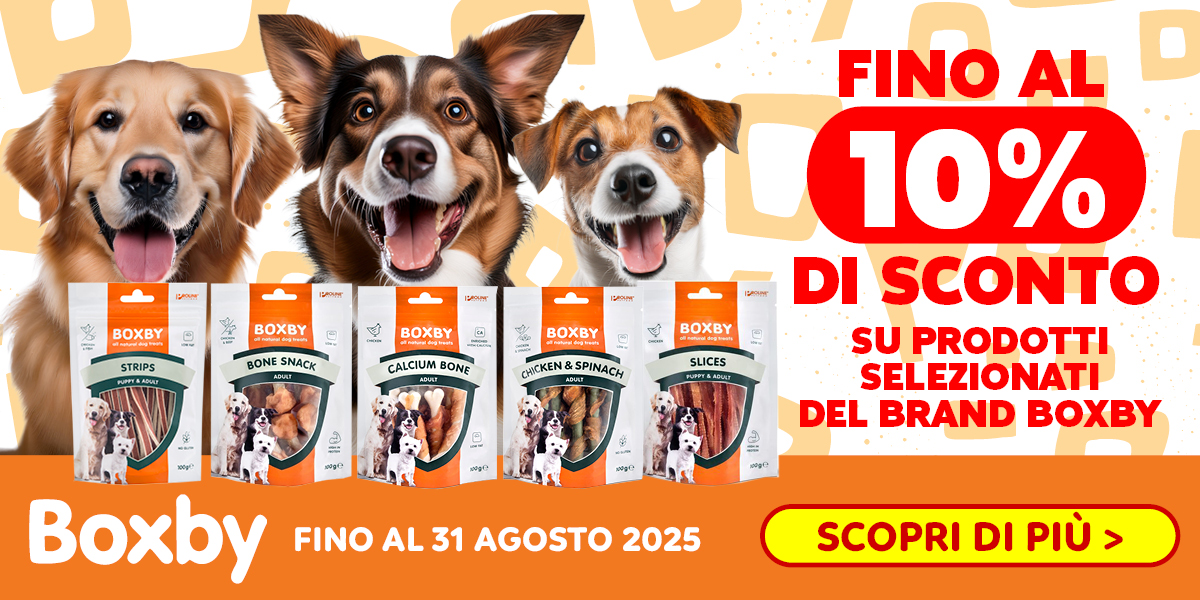 Saldi