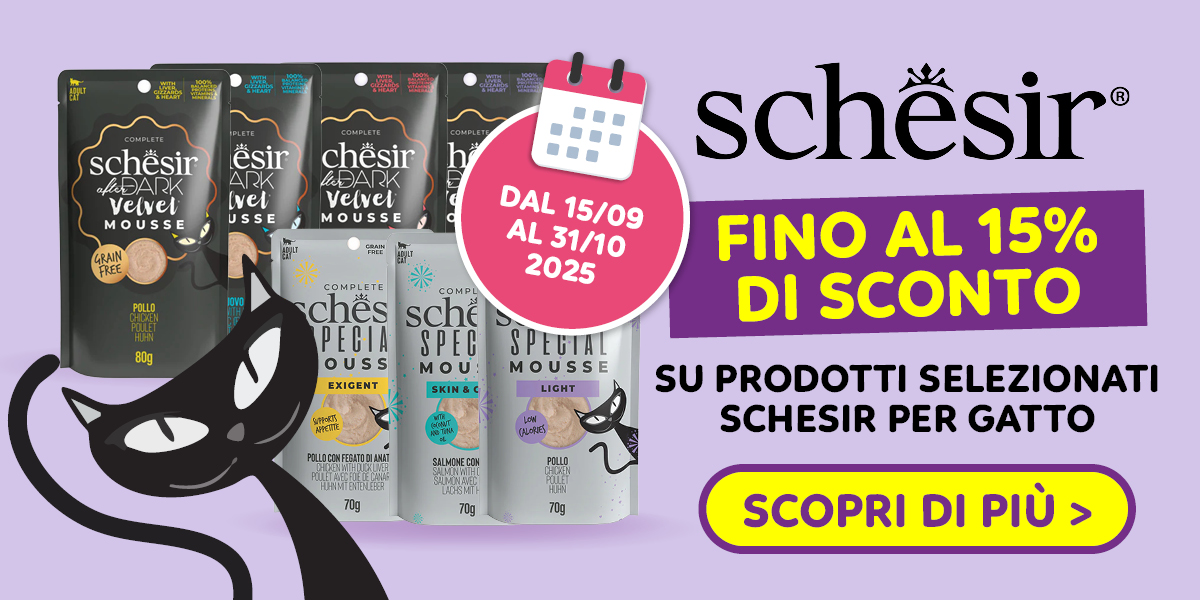 Saldi