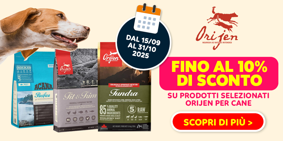 Saldi