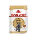 Royal Canin British Shorthair umido