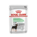 Royal Canin Digestive care umido