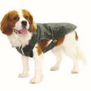 Fashion Dog Cappotto impermeabile