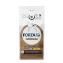 Forza 10 Intestinal Colon active fase 1 (agnello e sorgo)