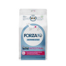 Forza 10 Intestinal active mini/toy