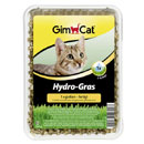 Gimborn Erba per gatti Hydro Gras
