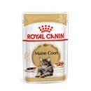 Royal Canin Maine Coon Adult umido