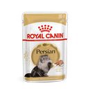 Royal Canin Persian Adult umido