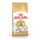 Royal Canin Norwegian Forest Cat