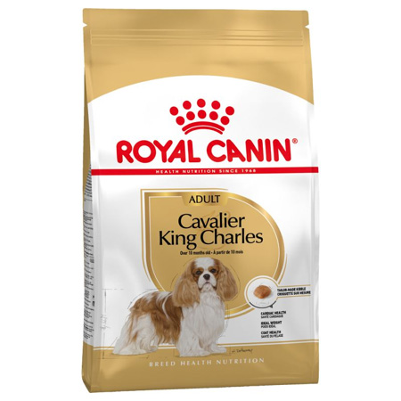 Royal canin cavalier king charles food top