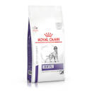 Royal Canin Dental canine medium/large dog