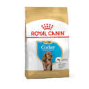 Royal Canin Cocker Junior