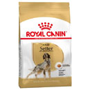 Royal CaninSetter Adult