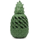 Record Ananas Power