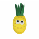 Record gioco con catnip a forma di ananas