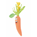 Record Veggy Verdure carota