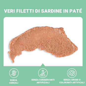 Schesir Sardine in paté (sardine)