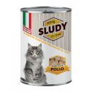 Sludy Bocconi per gatti (pollo)