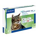 Virbac Effipro Duo per gatti