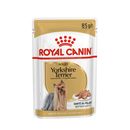 Royal Canin Yorkshire Terrier Adult umido